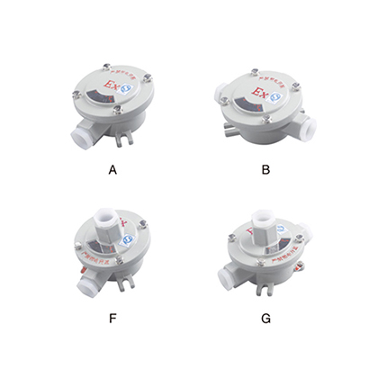 AH系列防爆接線盒( IIc、tD)